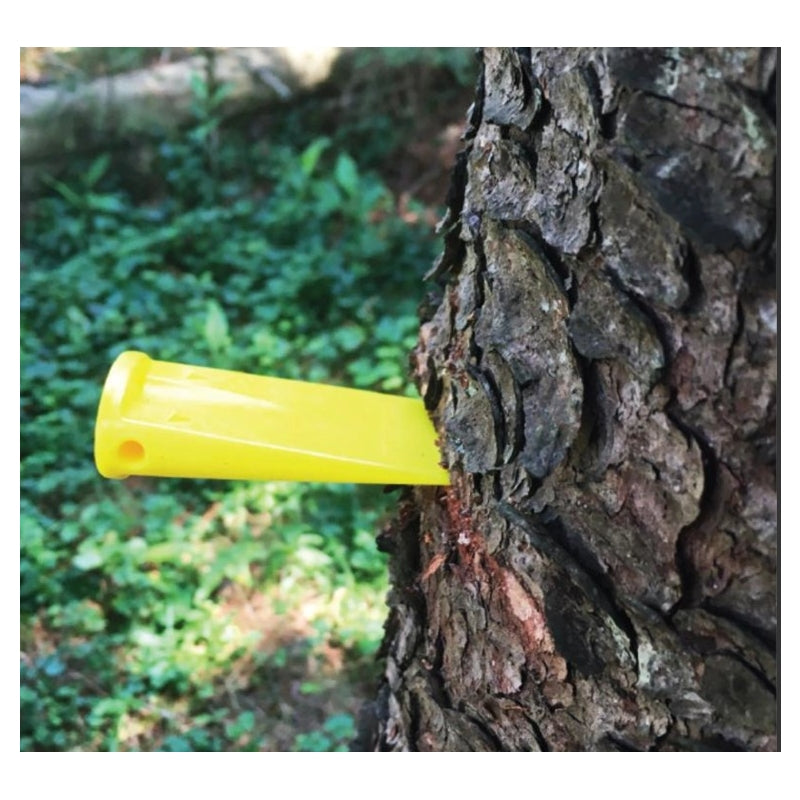 Tree Felling and Moving