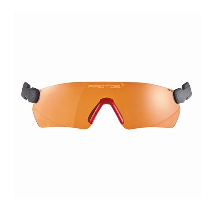 Pfanner Protos Integral Safety Glasses