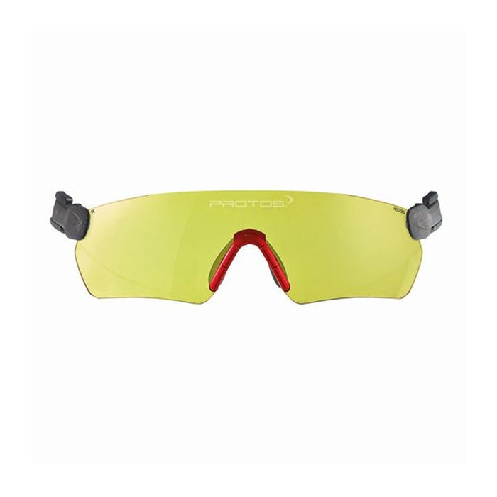 Pfanner Protos Integral Safety Glasses