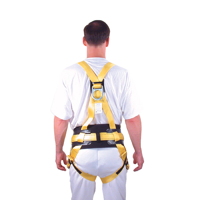 French Creek Roofers Body Harness